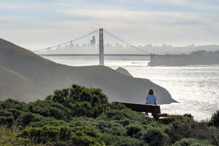 Person sitting on a bench overlooking a bay and bridge on a foggy day.